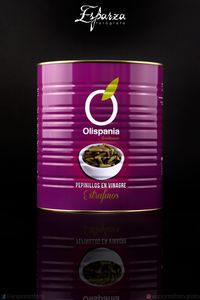 PEPINILLOS EN VINAGRE EXTRAFINOS (GRANDE) instagram_1