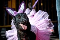 GARRAPATA FASHION WEEK 2018