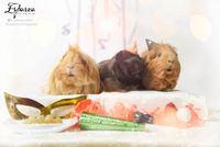 50119407323_f6406d20ea_k RRSS 2K